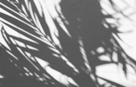 12_abstract