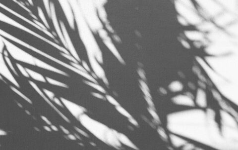 12_abstract