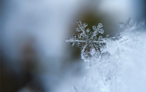 15_nature