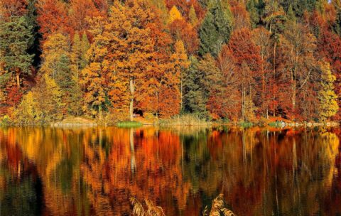 17_nature