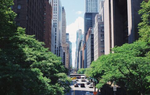 18_cities (1)