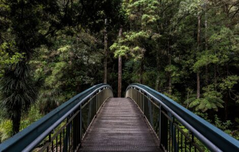 20_nature