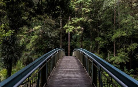 20_nature