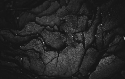 3_abstract
