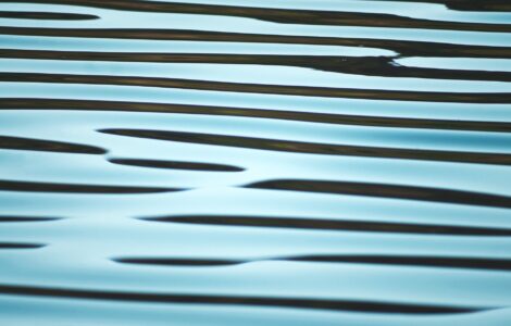 49_abstract
