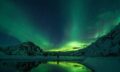 8_nature