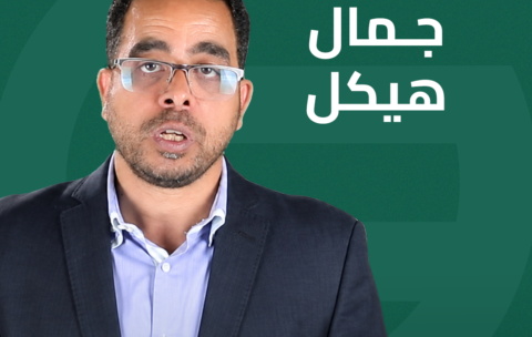 جمال هيكل