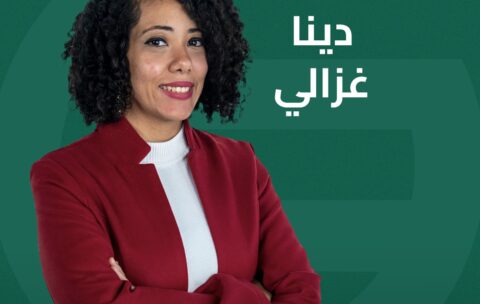 دينا غزالي 2222